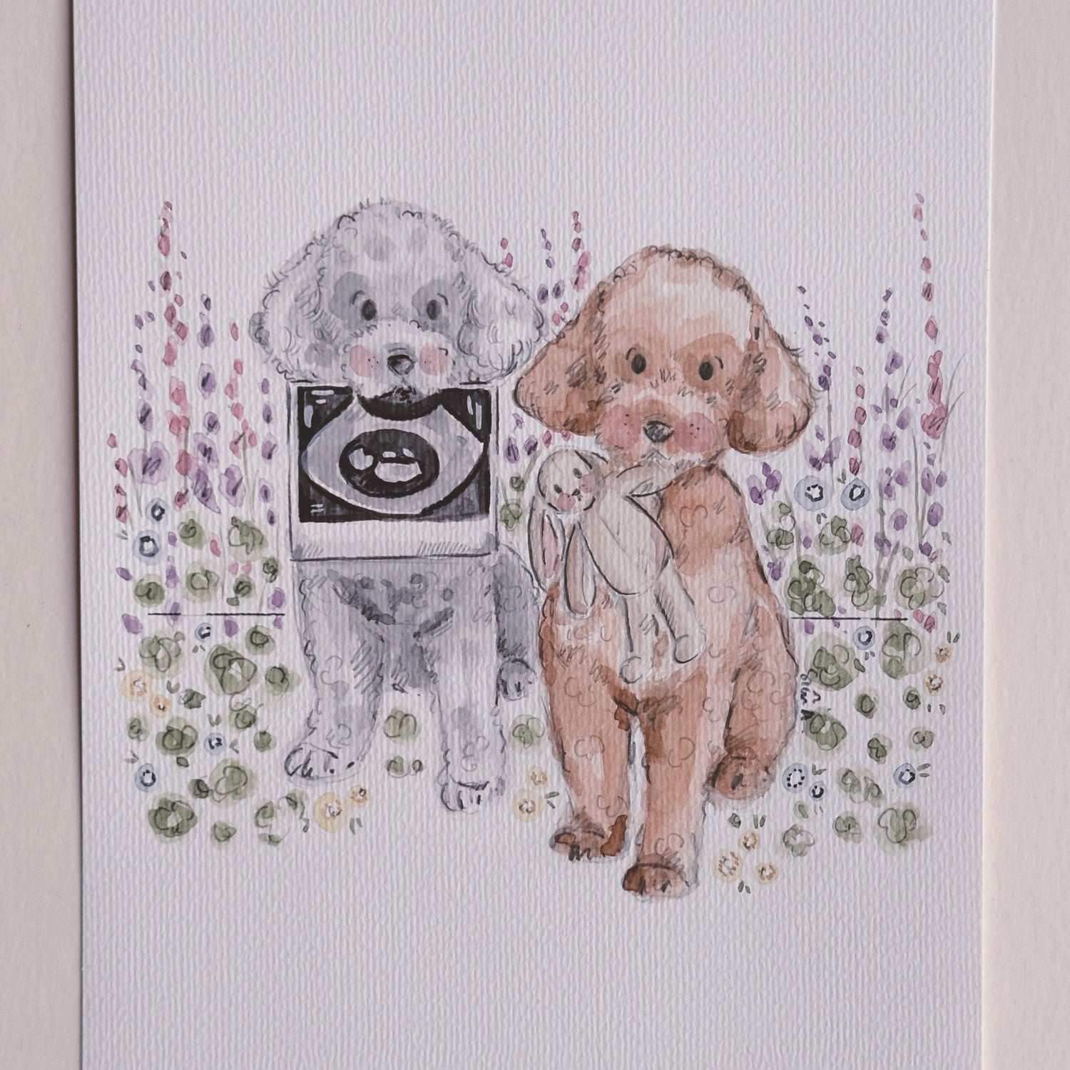 Custom Pet Portrait and baby announcement illustration with baby scan by Siân Alexia Paine Artist and Illustrator