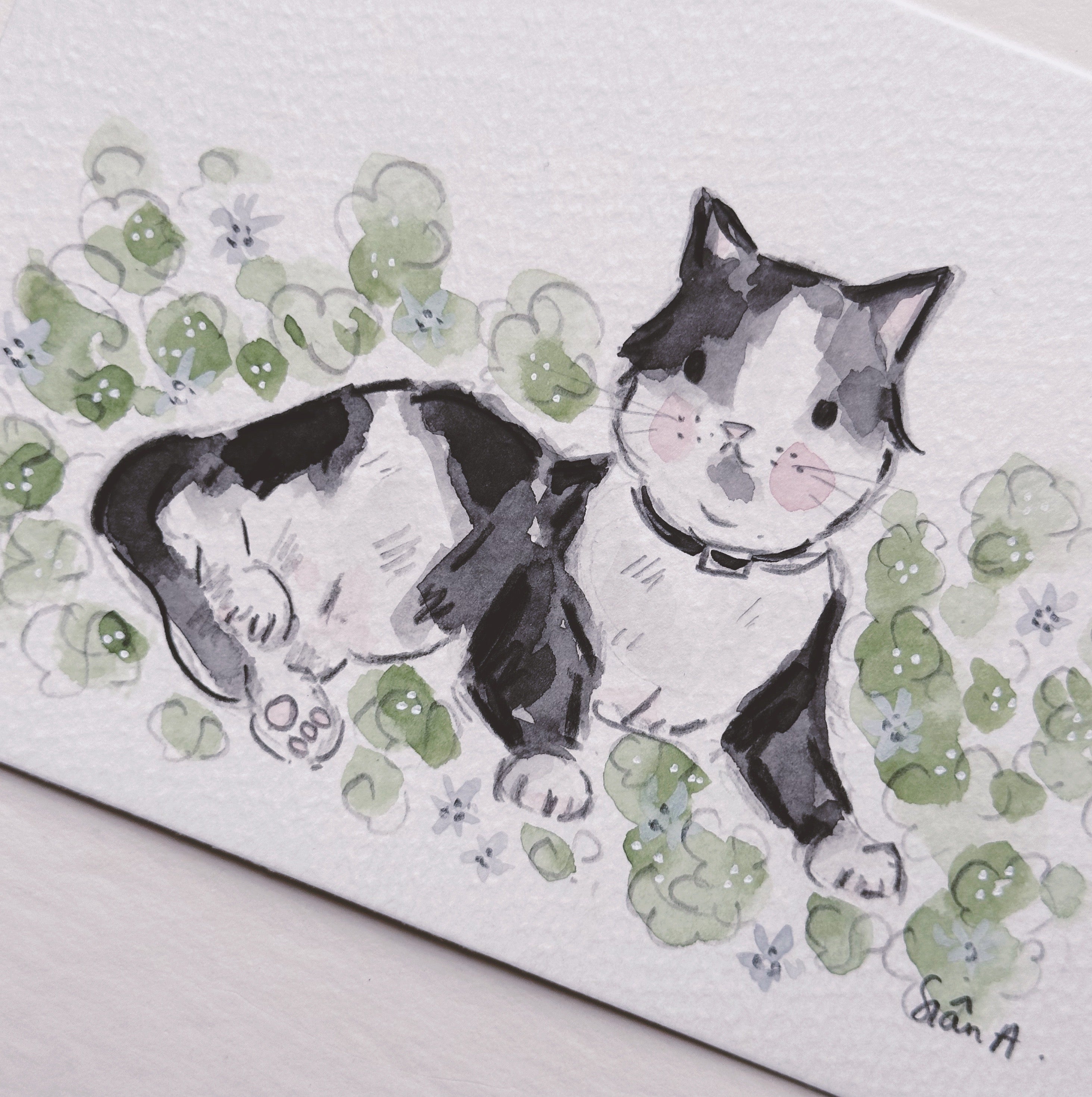 Custom cat illustration by Sian Alexia Paine  at Sian Alexia Illustration