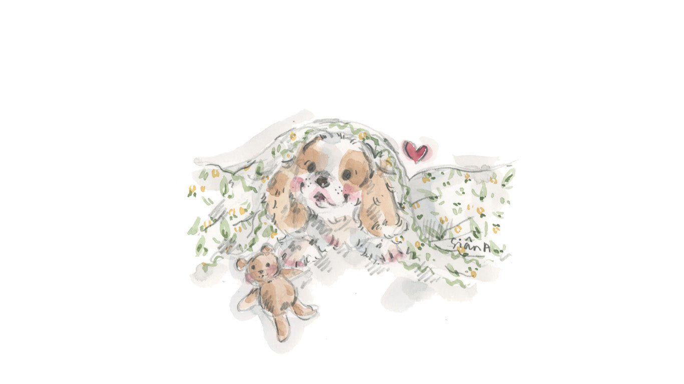 A watercolour  illustration of a small puppy peeking out from behind a floral blanket, with a teddy bear at its side and a small red heart above, shown on a plain white background. By Artist, Siân Alexia Paine, UK Artist
