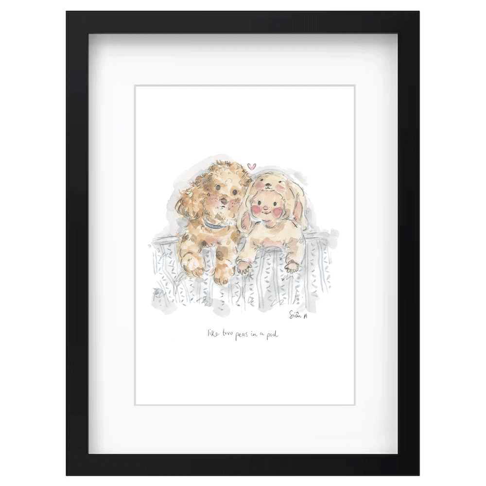 Picture Frame