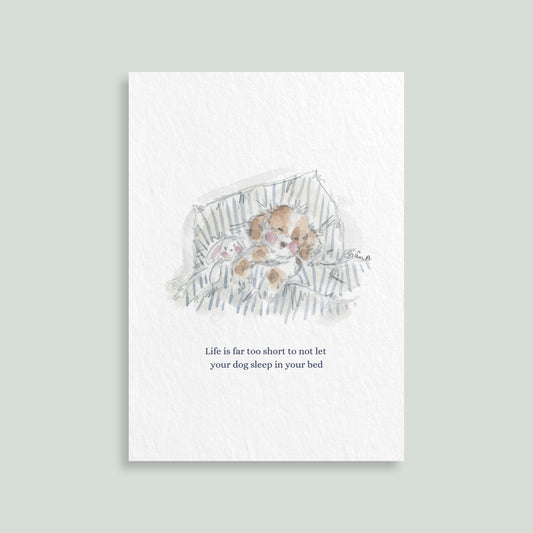 Sleep Dog print by Sian Alexia Paine , watercolour artwork, A5 Print 